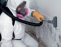 Best Water Damage & Mold Remediation  in , LA